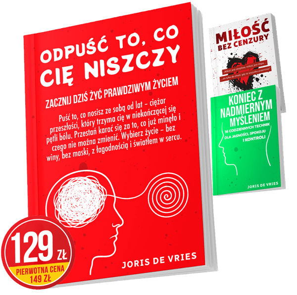 Odpuść to, co cię niszczy — książka Joris de Vries